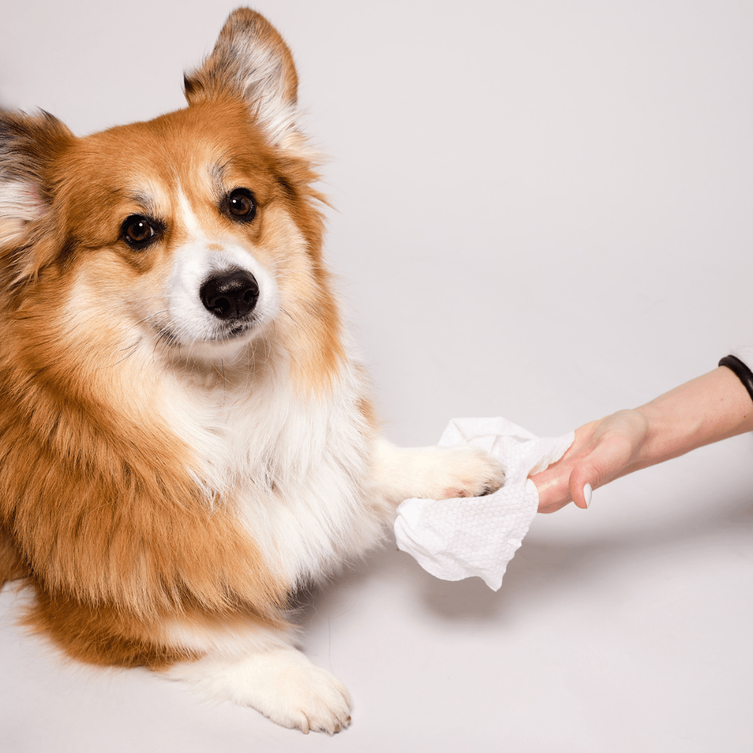 Grooming Wipes (XL - 60CT)