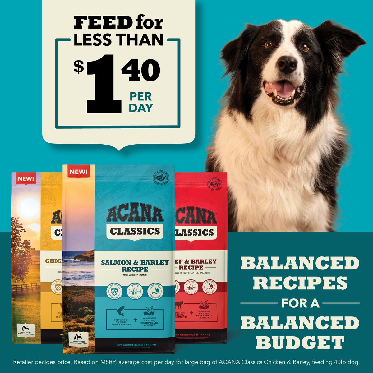 Acana Classics Salmon & Barley Recipe Dog Food