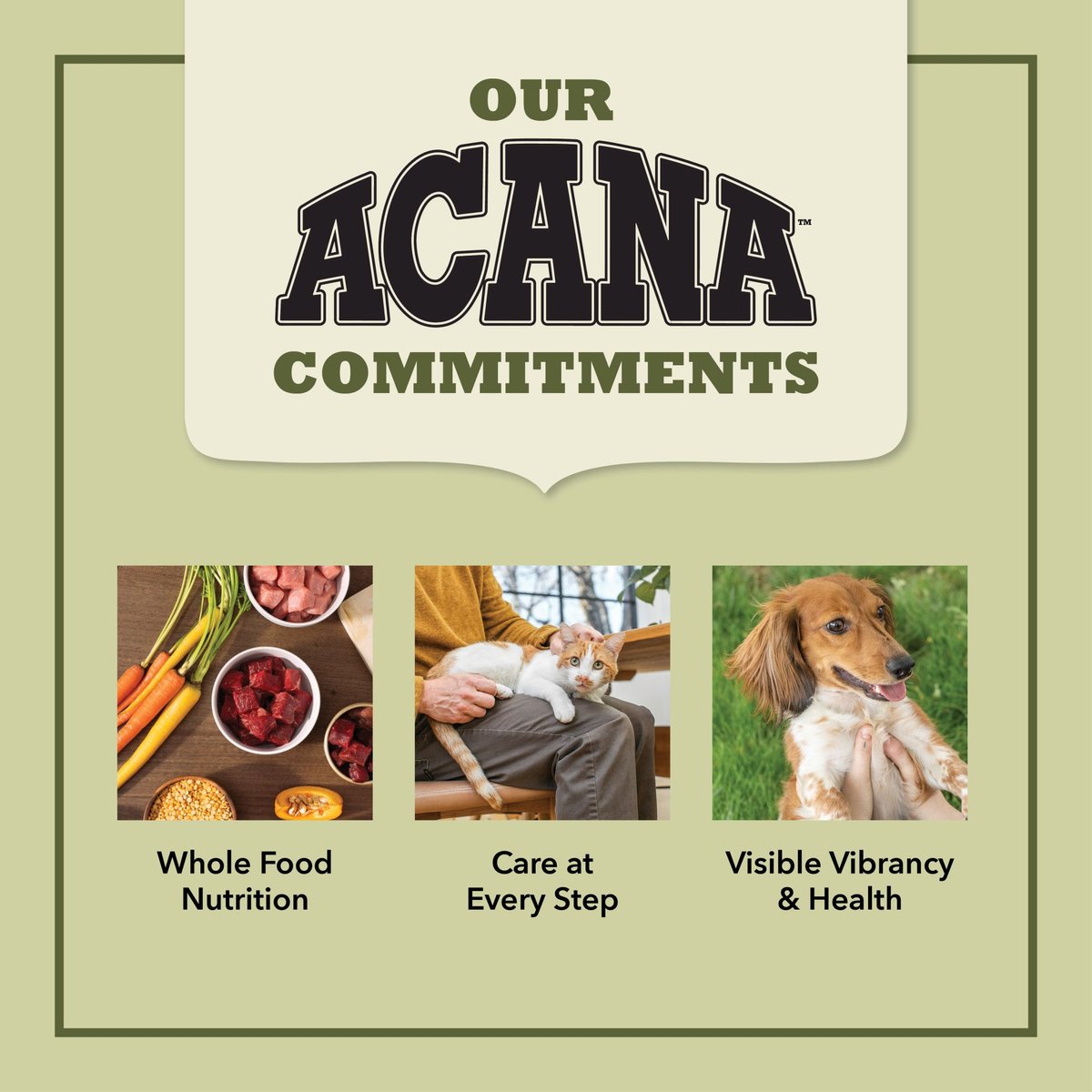 Acana Classics Beef & Barley Recipe Dog Food