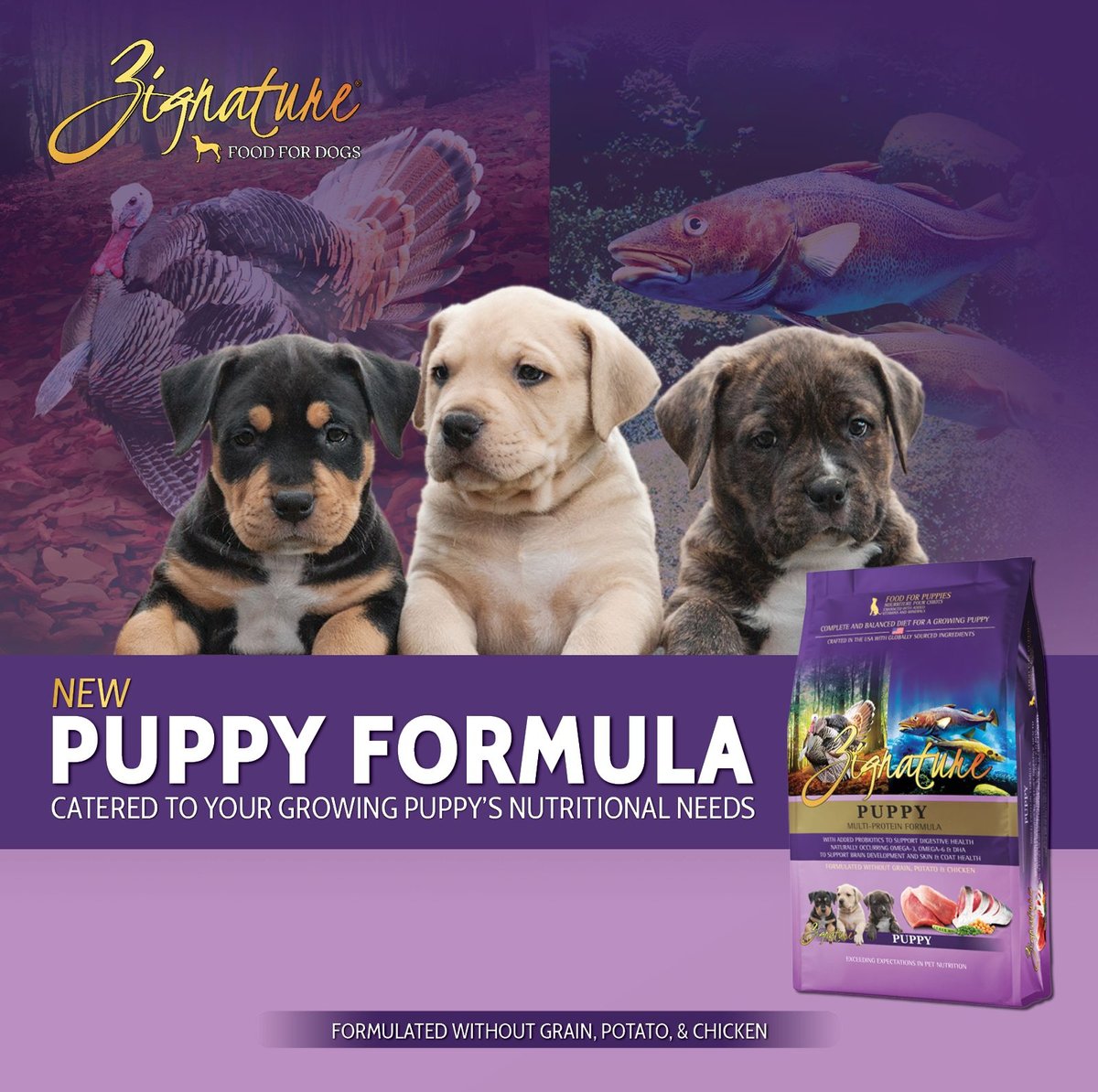 Zignature Puppy Formula Dry Dog Food