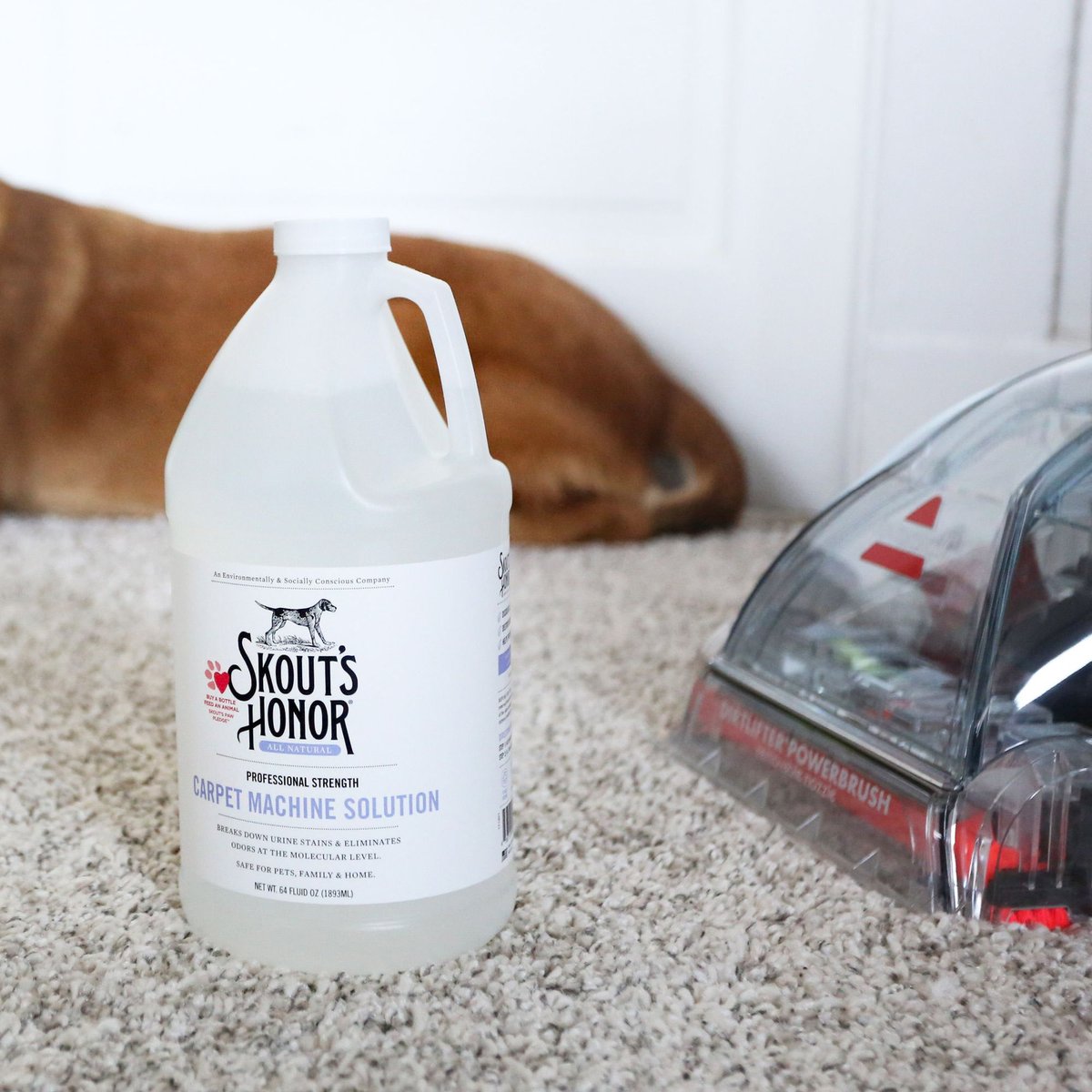 Skout's Honor Carpet Machine Solution (64OZ)