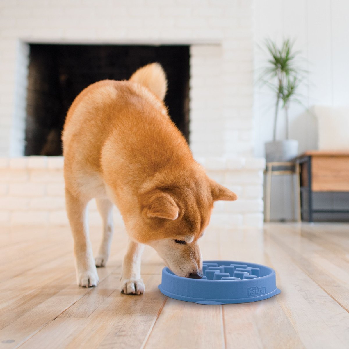 Outward Hound Fun Feeder Slow Feeder Bowl