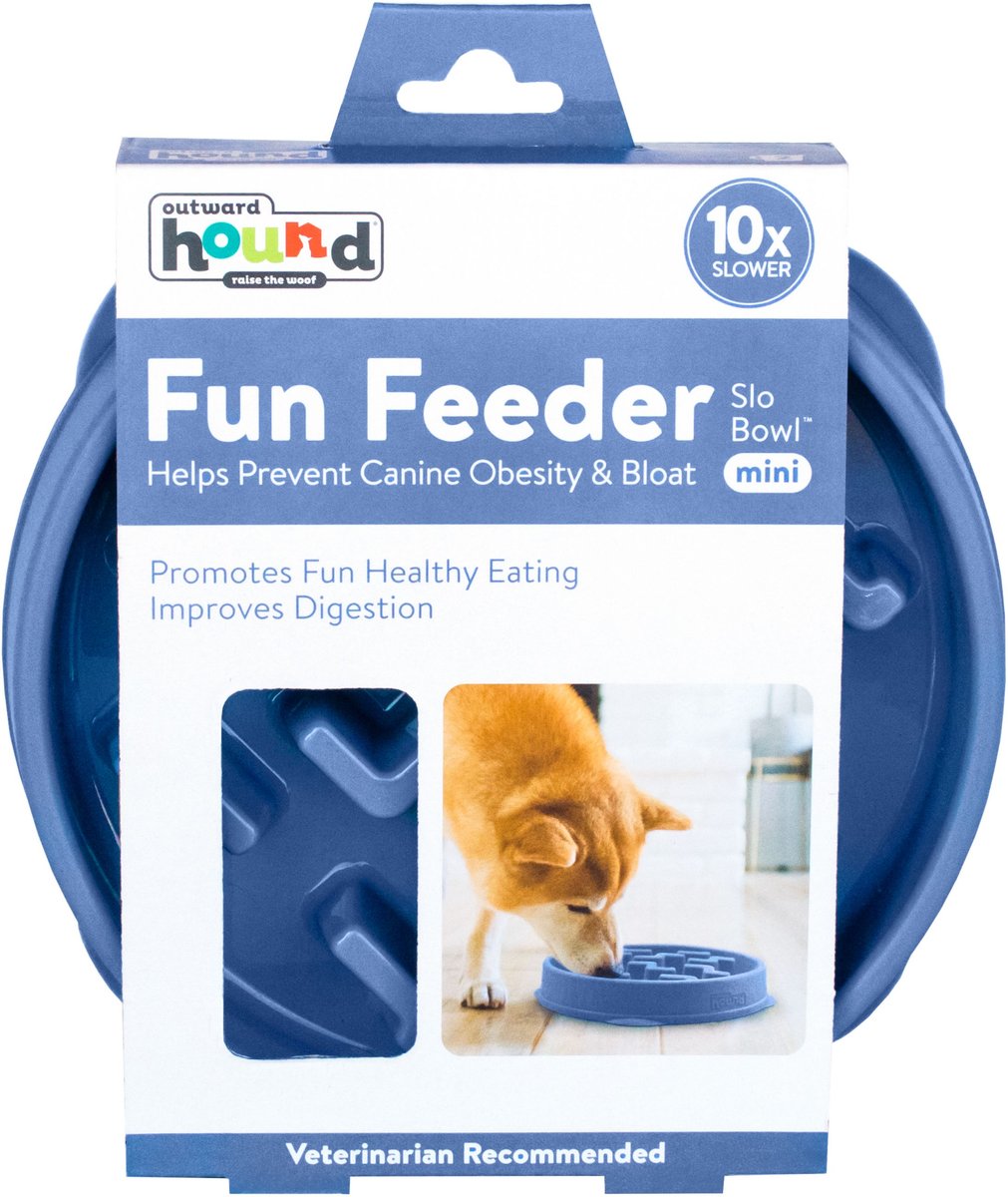 Outward Hound Fun Feeder Slow Feeder Bowl