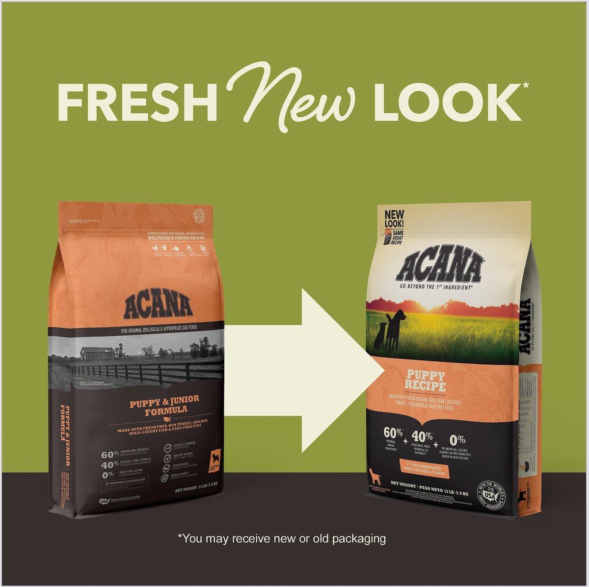 Acana Grain-Free Puppy Food