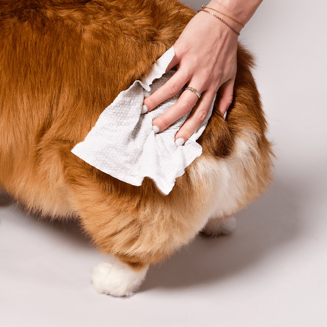 Grooming Wipes (XL - 60CT)