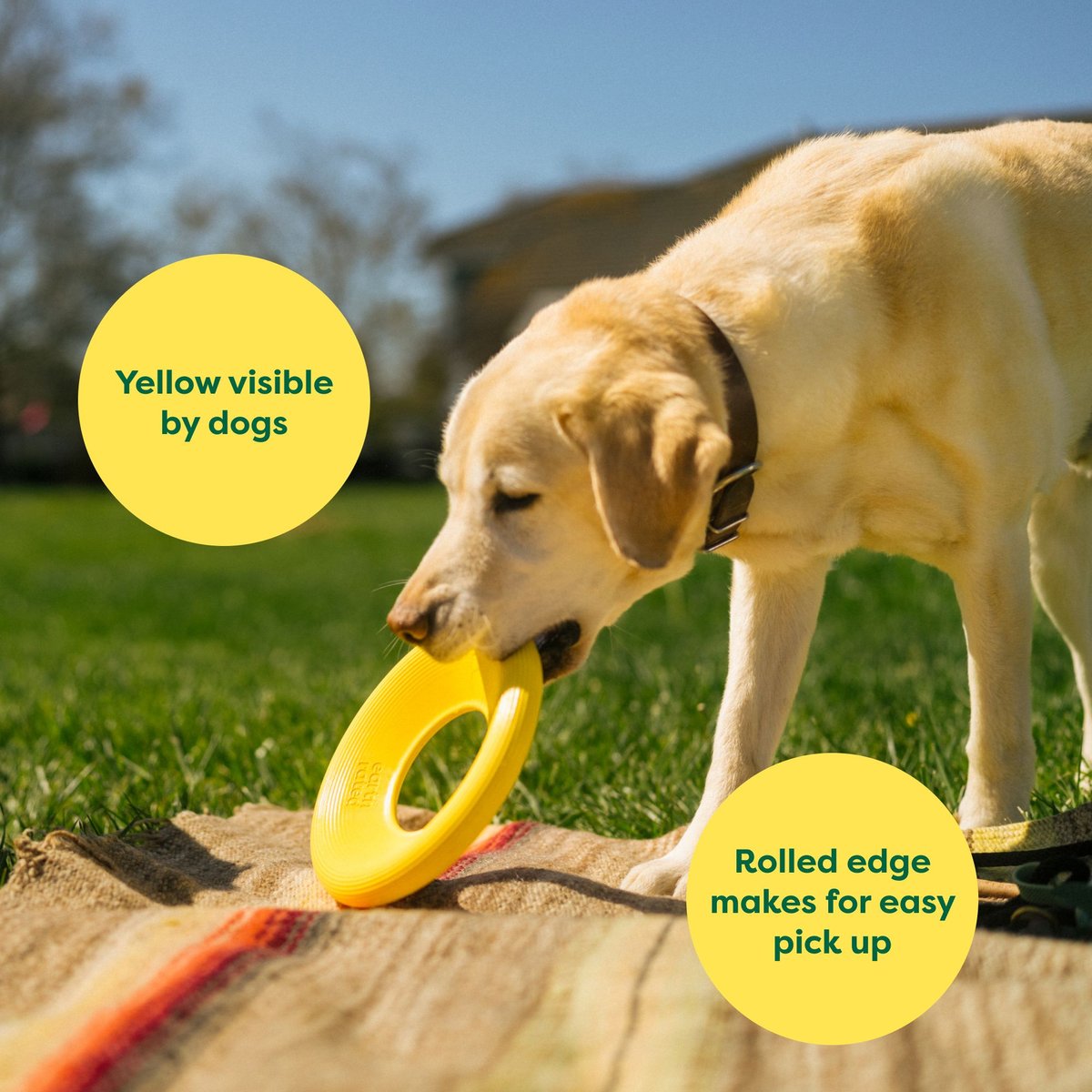 Earth Rated Flyer Dog Toy (8.7)