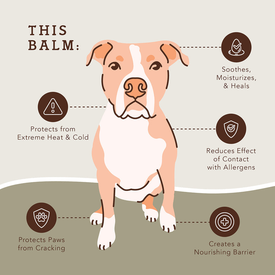 PawTection Healing Balm