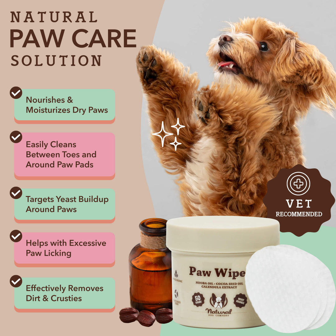 Paw Wipes (60CT)