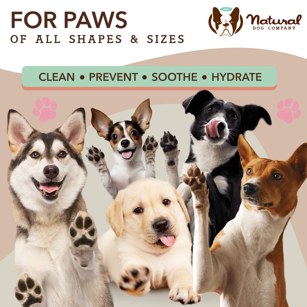 Paw Wipes (60CT)